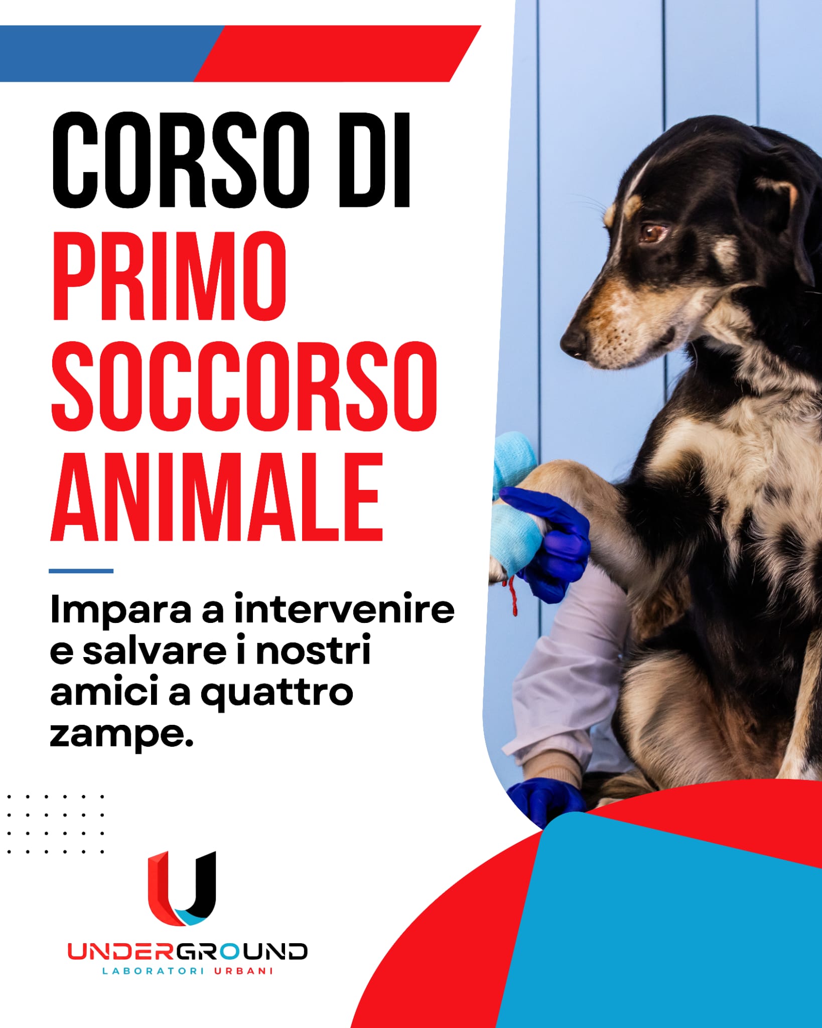 Locandina Underground: primo soccorso animale